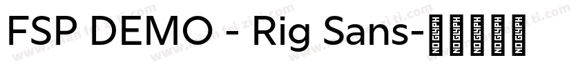 FSP DEMO - Rig Sans字体转换